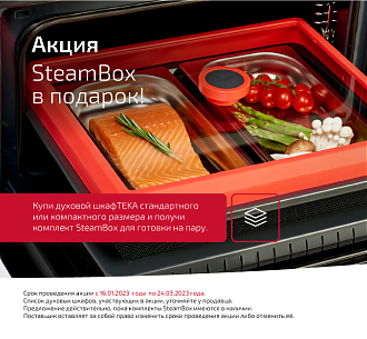 ТЕКА - SteamBox в подарок